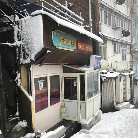 Exotic Naturals Guest House Шимла Экстерьер фото