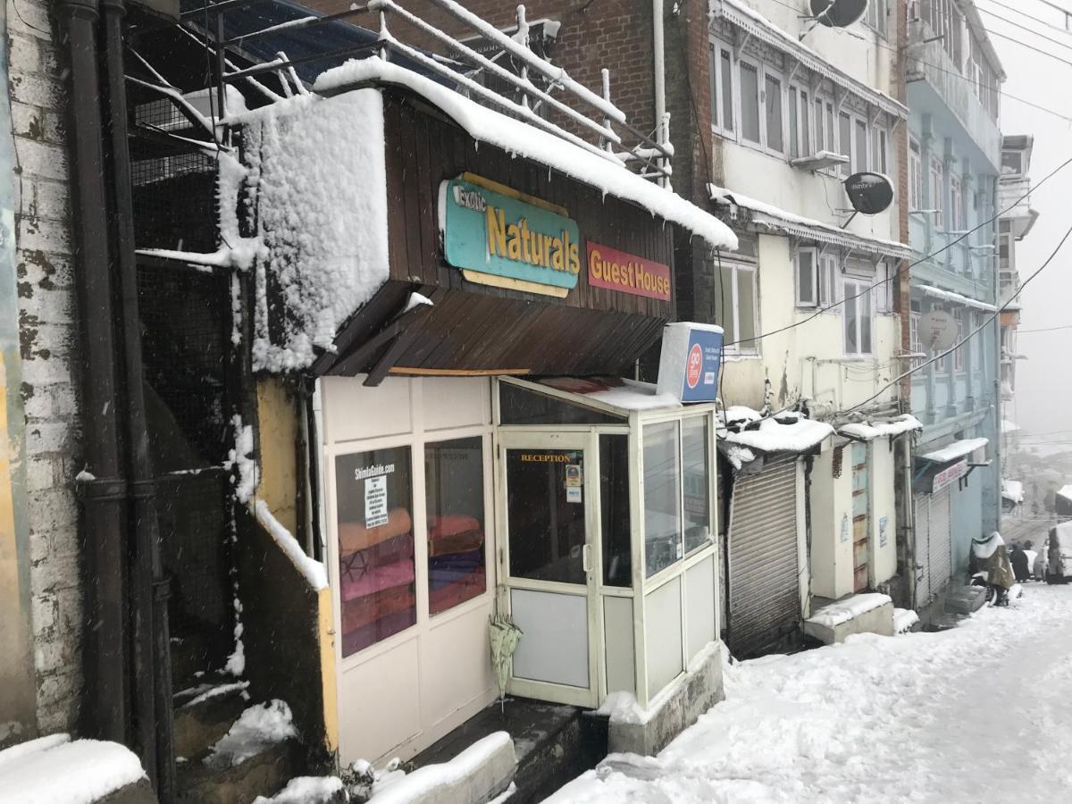 Exotic Naturals Guest House Шимла Экстерьер фото